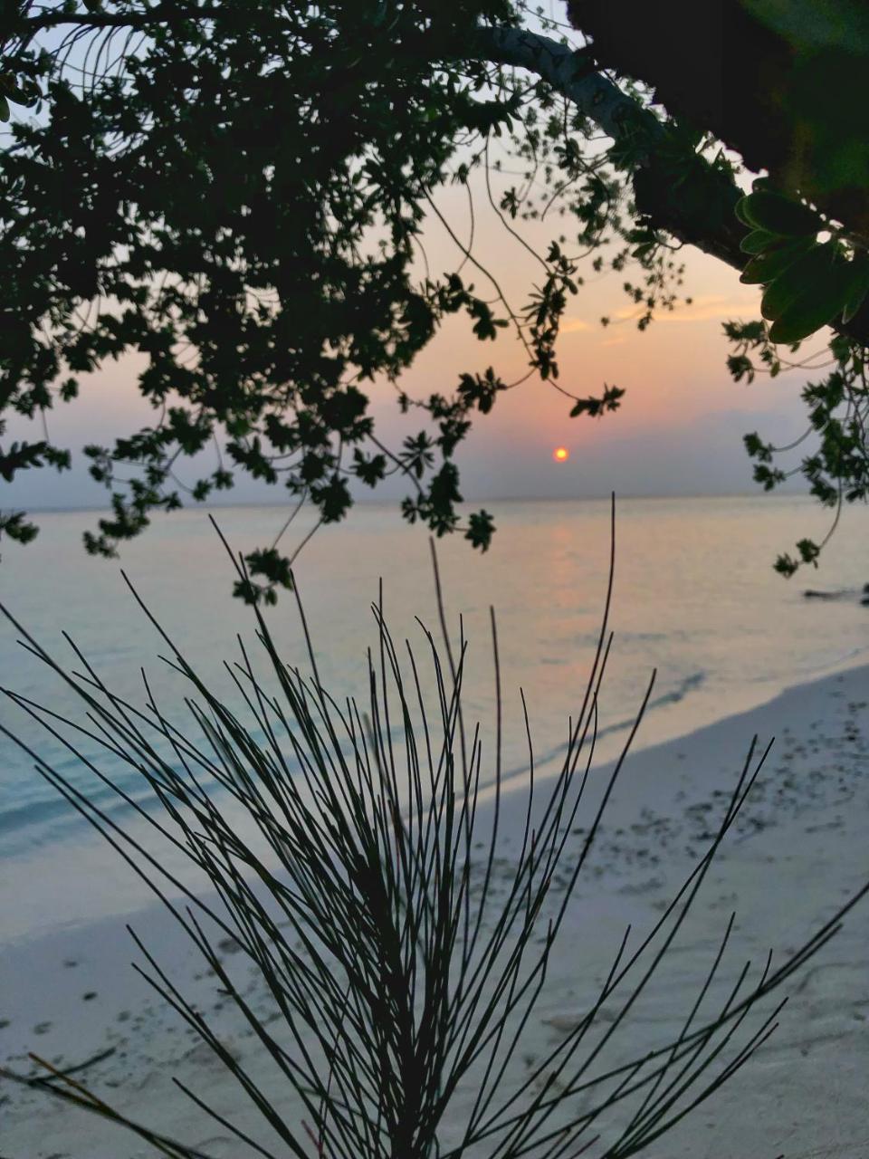 Wow Retreat Hotel Felidhoo Exterior foto