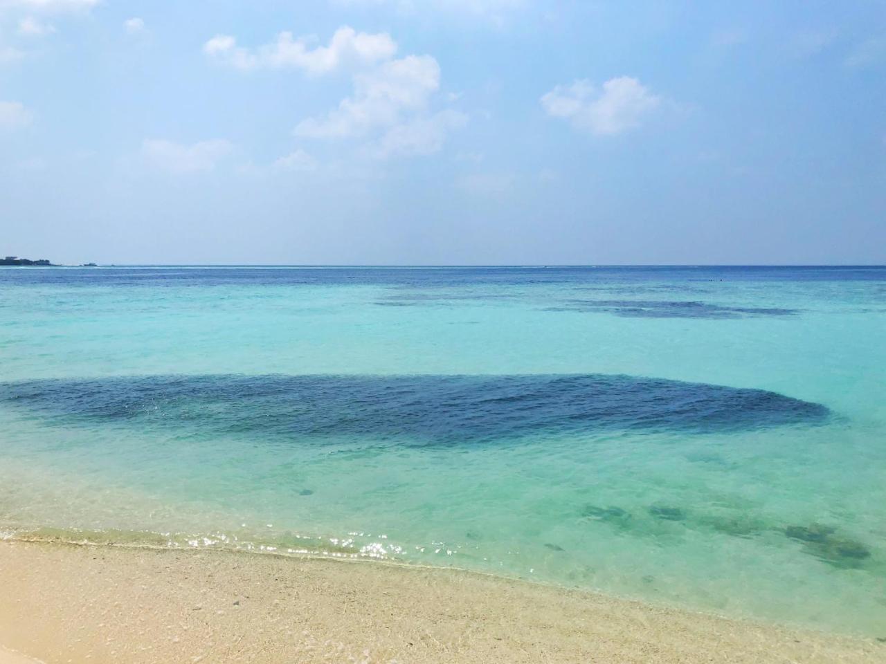 Wow Retreat Hotel Felidhoo Exterior foto